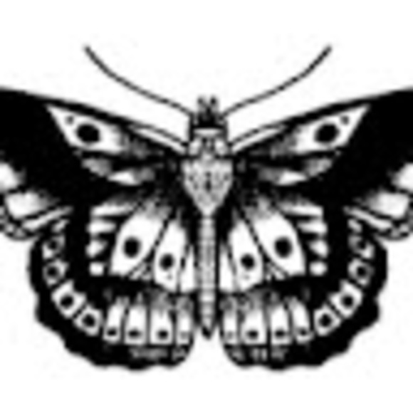 Meet your Posher, Sam - Picture 1 of 1